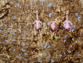 lethal dose, 2011